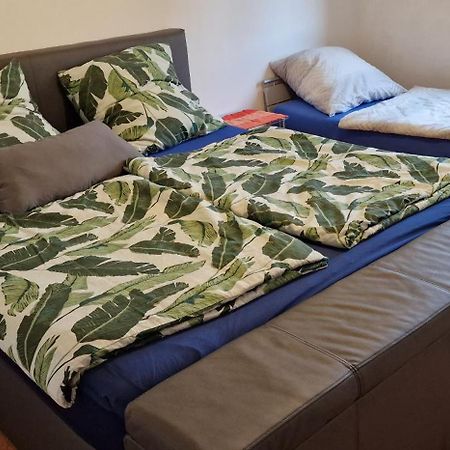 Bischweier Ferienwohnung Zwischen Rhein Und Schwarzwald מראה חיצוני תמונה