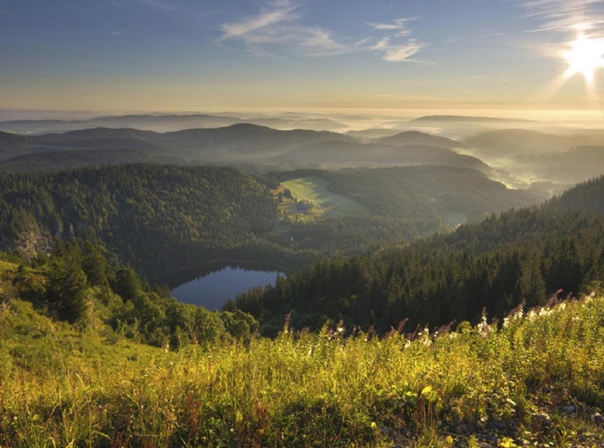 Bischweier Ferienwohnung Zwischen Rhein Und Schwarzwald מראה חיצוני תמונה